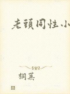 老头同性小说