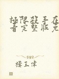 极限杀手在线观看完整版免费观看