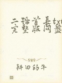 二号首长txt完整版网盘