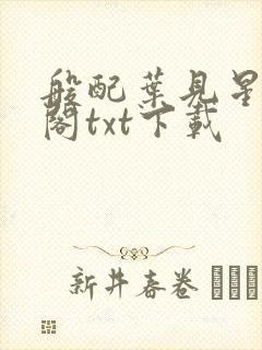 般配叶见星笔趣阁txt下载