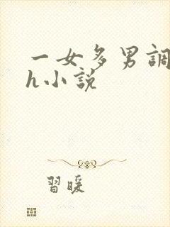一女多男调教高h小说