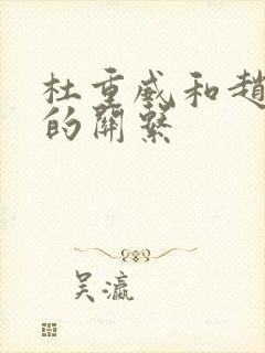 杜重威和赵匡胤的关系封面