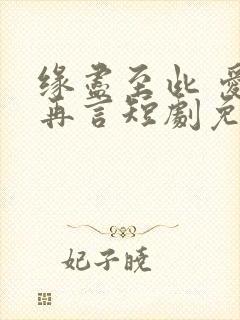 缘尽至此 爱不再言短剧免费观看