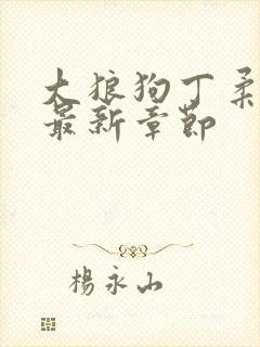 大狼狗丁柔全文最新章节