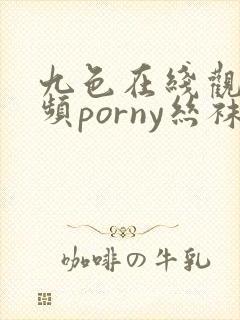 九色在线观看视频porny丝袜自拍