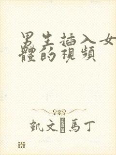 男生插入女生下体的视频封面