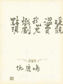 点燃我温暖你电视剧免费观看网站