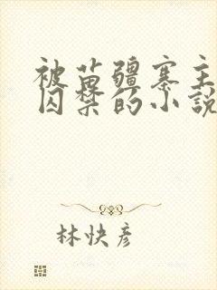 被苗疆寨主抓住囚禁的小说女主封面