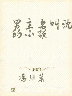 男主名叫沈寒舟的小说