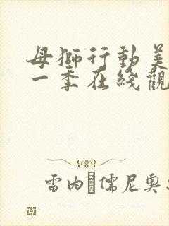 母狮行动美剧第一季在线观看免费封面