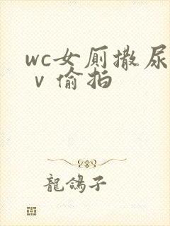 wc女厕撒尿七ⅴ偷拍