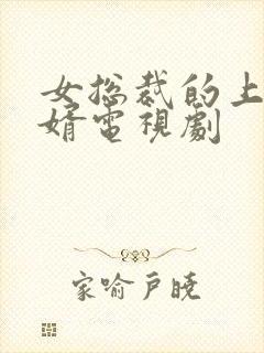 女总裁的上门女婿电视剧封面