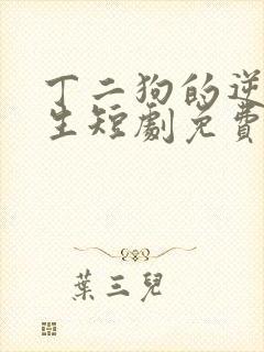 丁二狗的逆袭人生短剧免费封面