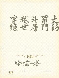 穿越斗罗大陆2绝世唐门的小说