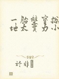 一胎双宝总裁爹地太卖力小说