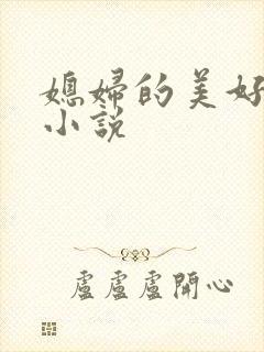 媳妇的美好时代小说封面