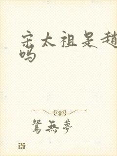 宋太祖是赵匡胤吗