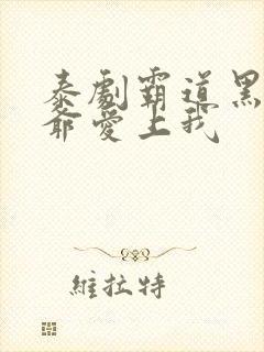 泰剧霸道黑帮少爷爱上我