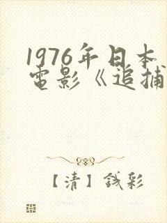 1976年日本电影《追捕》免费观看