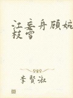 江妄舟顾婉禾宋枝雪