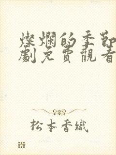 灿烂的季节电视剧免费观看高清封面