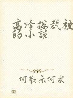 高冷总裁被催眠的小说