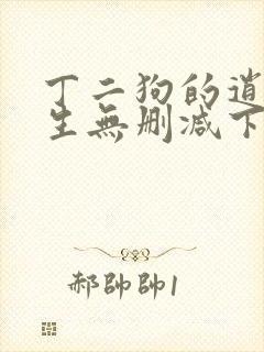 丁二狗的逍遥人生无删减下载