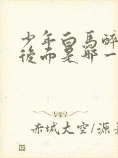 少年白马醉春风后面是哪一部