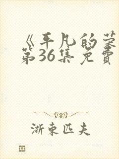 《平凡的荣耀》第36集免费观看