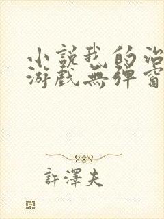 小说我的治愈系游戏无弹窗