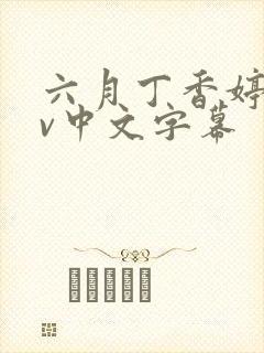 六月丁香婷婷av中文字幕