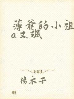 薄爷的小祖宗又a又飒