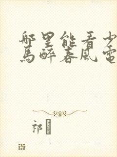 哪里能看少年白马醉春风电视剧