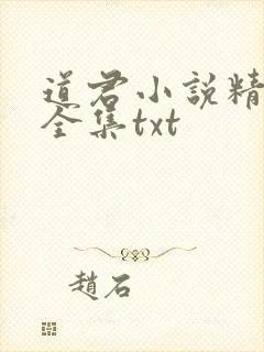 道君小说精校版全集txt封面