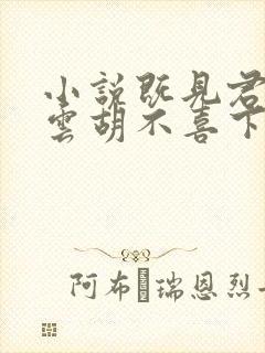 小说既见君子,云胡不喜下载