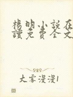 杨明小说在线阅读免费全文封面