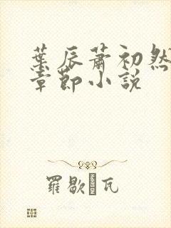 叶辰萧初然最新章节小说封面