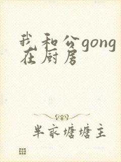我和公gong在厨房