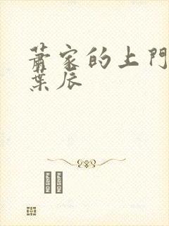 萧家的上门女婿叶辰