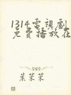 1314电视剧免费播放在线观看