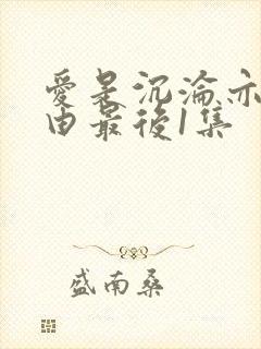 爱是沉沦亦是自由最后1集