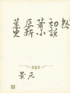 叶辰萧初然最快更新小说