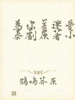 为你着迷爱龙奈泰剧原著小说