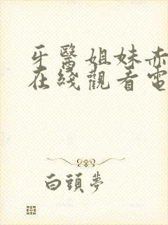 牙医姐妹赤坂丽在线观看电影封面