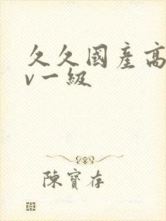 久久国产高清av一级