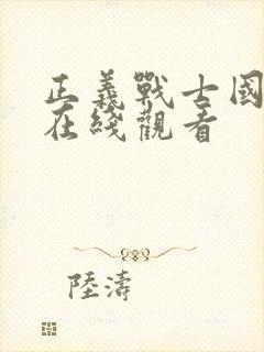 正义战士国语版在线观看