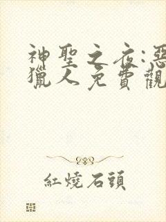 神圣之夜:恶魔猎人免费观看完整版