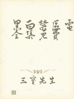 黑白禁区电视剧全集免费