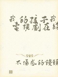 我的孩子我的家 电视剧在线观看封面