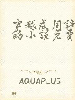 穿越成周铮太子的小说免费阅读封面